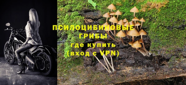 прущие грибы Нефтегорск