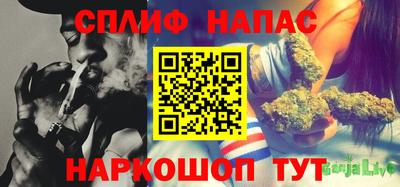 хмурый Канаш