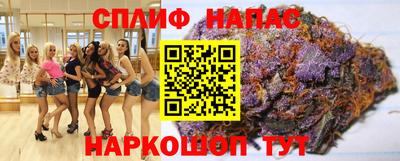 гашик Кандалакша