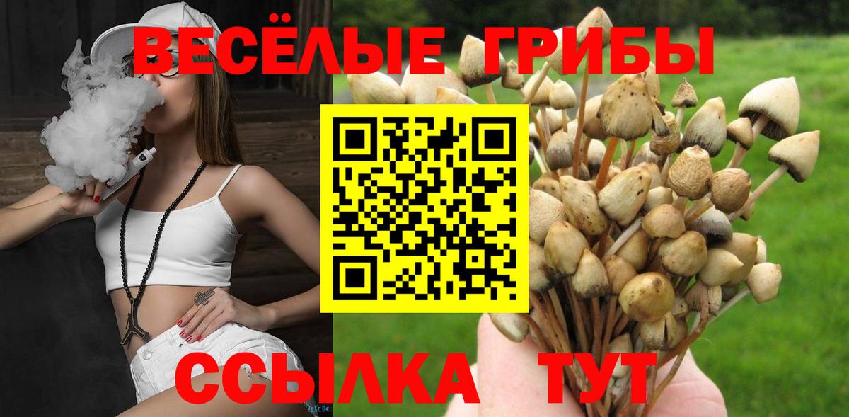 Псилоцибиновые грибы ЛСД Туймазы